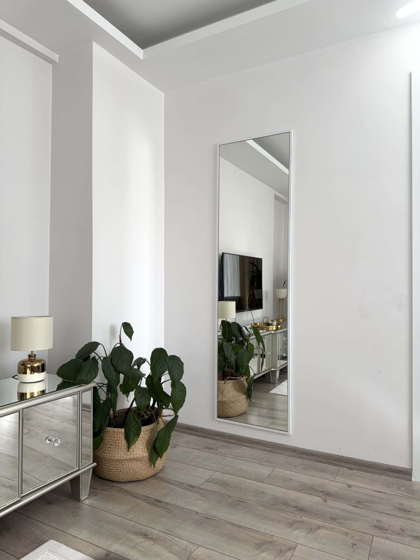 Rechteck Standspiegel in 3 Farben | 180×50 cm