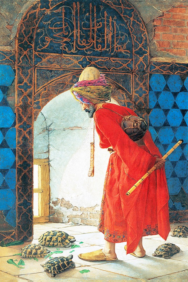 Der Schildkröten-Trainer Leinwandbild